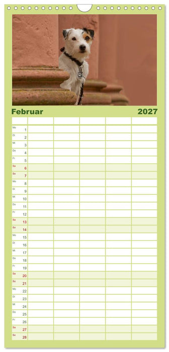 Faszination Hund (CALVENDO Familienplaner 2027)