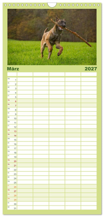 Faszination Hund (CALVENDO Familienplaner 2027)