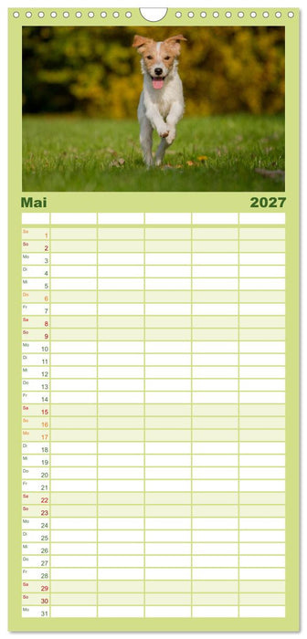 Faszination Hund (CALVENDO Familienplaner 2027)