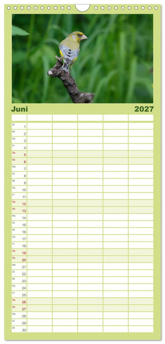 Vögel (CALVENDO Familienplaner 2027)