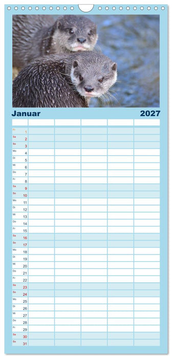 Otter. Frech, laut und clever (CALVENDO Familienplaner 2027)