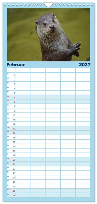Otter. Frech, laut und clever (CALVENDO Familienplaner 2027)