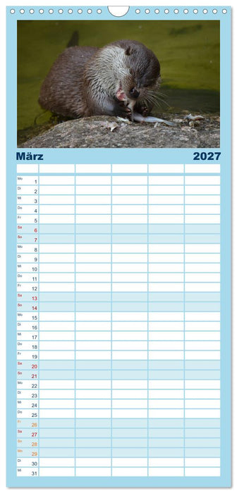 Otter. Frech, laut und clever (CALVENDO Familienplaner 2027)