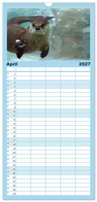 Otter. Frech, laut und clever (CALVENDO Familienplaner 2027)
