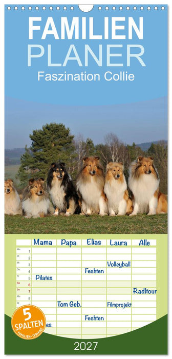 Faszination Collie 2027 (CALVENDO Familienplaner 2027)