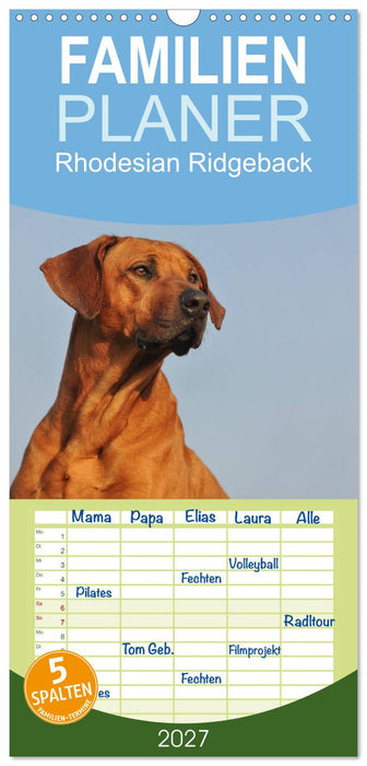 Rhodesian Ridgeback 2027 (CALVENDO Familienplaner 2027)