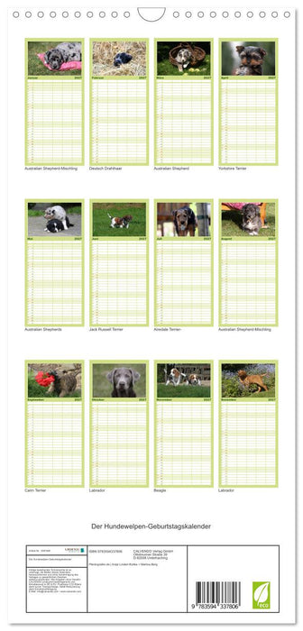 Der Hundewelpen-Geburtstagskalender (CALVENDO Familienplaner 2027)