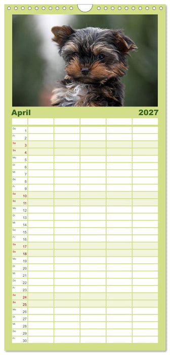 Der Hundewelpen-Geburtstagskalender (CALVENDO Familienplaner 2027)