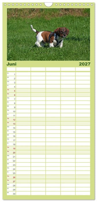Der Hundewelpen-Geburtstagskalender (CALVENDO Familienplaner 2027)