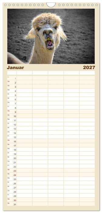 Alpaka Gesichter (CALVENDO Familienplaner 2027)