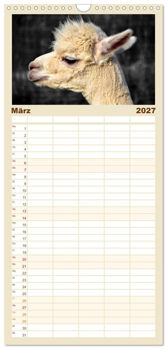 Alpaka Gesichter (CALVENDO Familienplaner 2027)