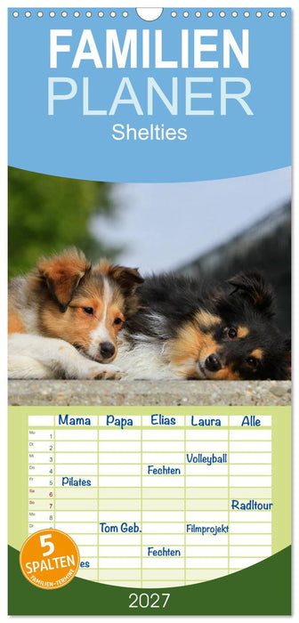 Shelties 2027 (CALVENDO Familienplaner 2027)