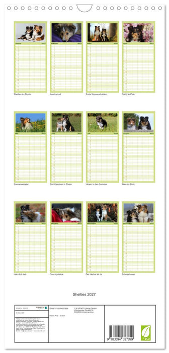 Shelties 2027 (CALVENDO Familienplaner 2027)