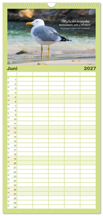 Ruhe und Gelassenheit 2027 (CALVENDO Familienplaner 2027)