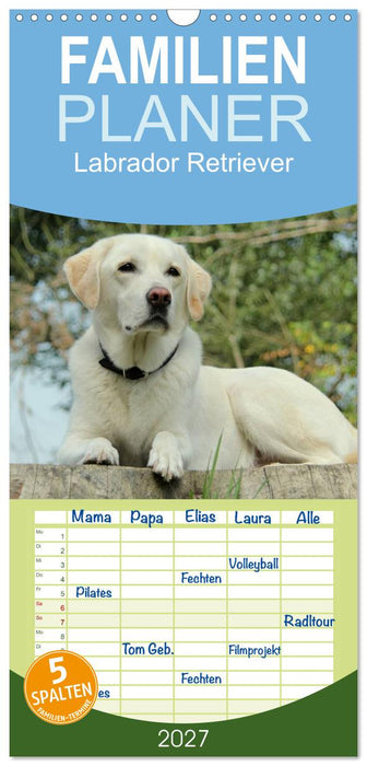 Labrador Retriever 2027 (CALVENDO Familienplaner 2027)