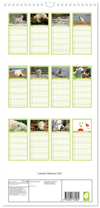 Labrador Retriever 2027 (CALVENDO Familienplaner 2027)