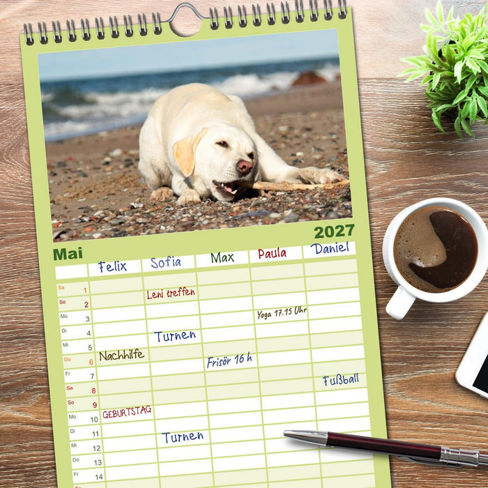 Labrador Retriever 2027 (CALVENDO Familienplaner 2027)