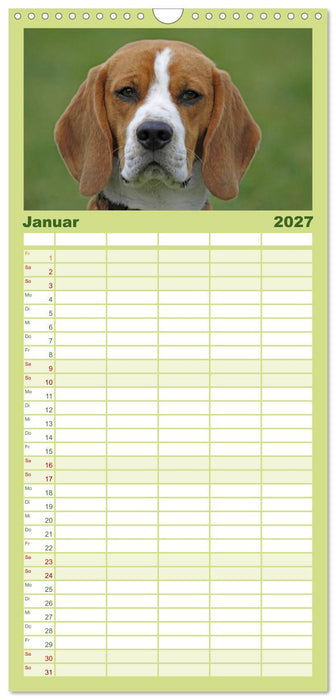 DER BEAGLEige TERMINPLANER (CALVENDO Familienplaner 2027)