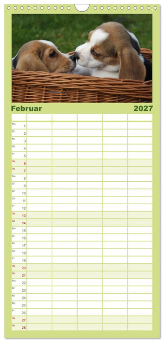 DER BEAGLEige TERMINPLANER (CALVENDO Familienplaner 2027)