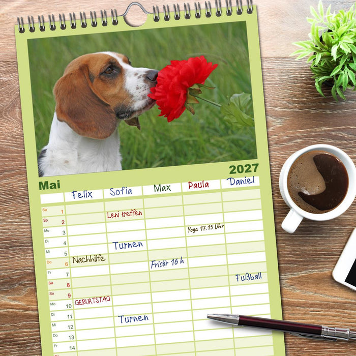 DER BEAGLEige TERMINPLANER (CALVENDO Familienplaner 2027)
