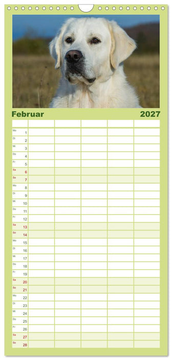 Das Glück hat einen Namen - Golden Retriever (CALVENDO Familienplaner 2027)