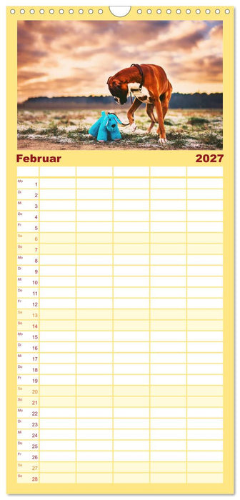Deutscher Boxer (CALVENDO Familienplaner 2027)