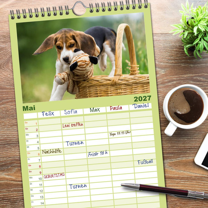 Beaglebabys auf Entdeckungstour (CALVENDO Familienplaner 2027)