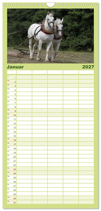 Starke Pferde bei der Arbeit (CALVENDO Familienplaner 2027)