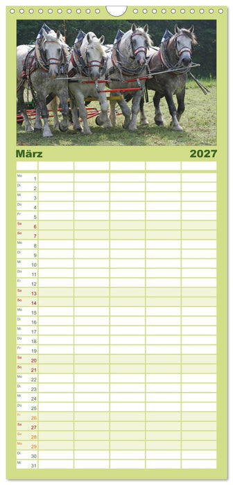 Starke Pferde bei der Arbeit (CALVENDO Familienplaner 2027)