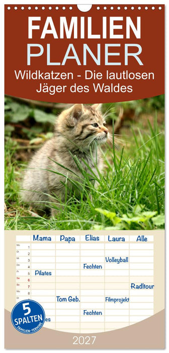 Wildkatzen - Die lautlosen Jäger des Waldes (CALVENDO Familienplaner 2027)