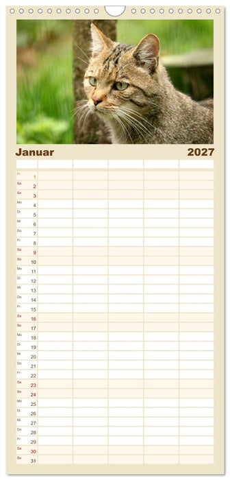 Wildkatzen - Die lautlosen Jäger des Waldes (CALVENDO Familienplaner 2027)