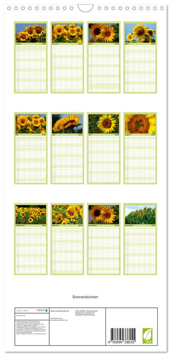 Sonnenblumen (CALVENDO Familienplaner 2027)