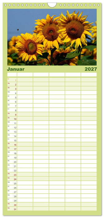 Sonnenblumen (CALVENDO Familienplaner 2027)