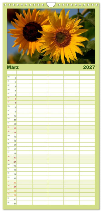 Sonnenblumen (CALVENDO Familienplaner 2027)