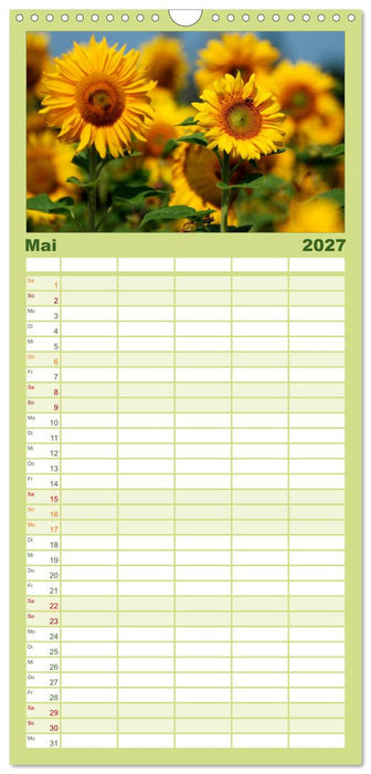 Sonnenblumen (CALVENDO Familienplaner 2027)