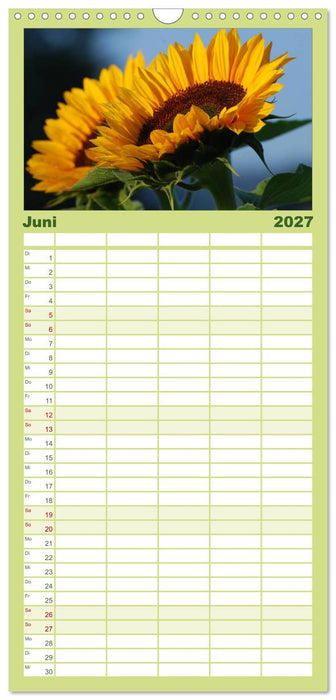 Sonnenblumen (CALVENDO Familienplaner 2027)