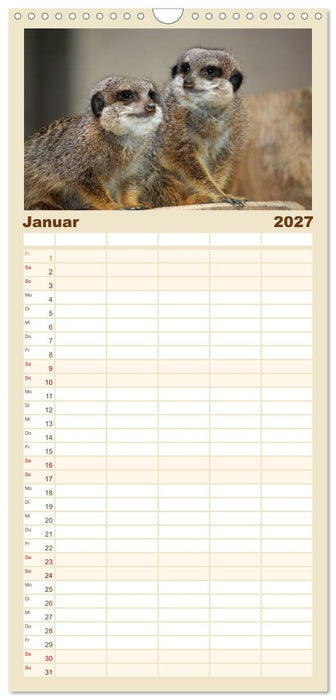 Erdmännchen (CALVENDO Familienplaner 2027)