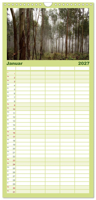 Wald (CALVENDO Familienplaner 2027)