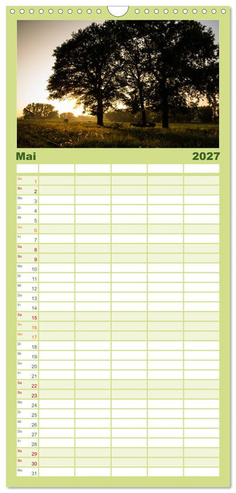 Wald (CALVENDO Familienplaner 2027)