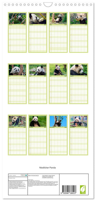 Niedlicher Panda (CALVENDO Familienplaner 2027)