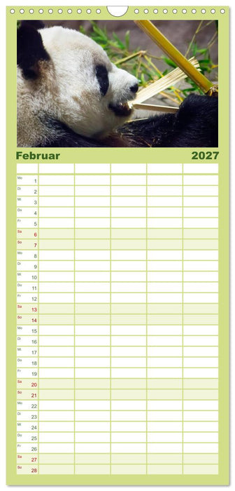 Niedlicher Panda (CALVENDO Familienplaner 2027)
