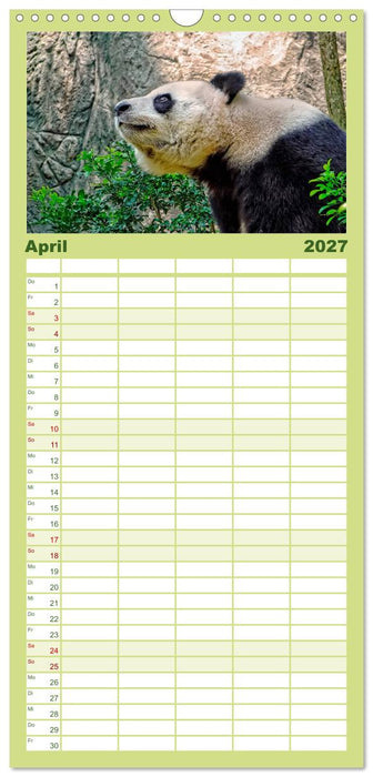 Niedlicher Panda (CALVENDO Familienplaner 2027)