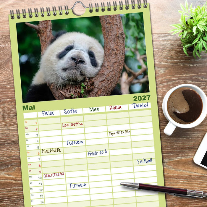 Niedlicher Panda (CALVENDO Familienplaner 2027)
