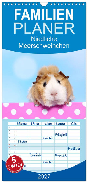 Niedliche Meerschweinchen (CALVENDO Familienplaner 2027)