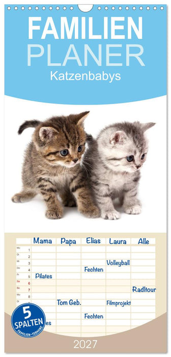 Katzenbabys (CALVENDO Familienplaner 2027)