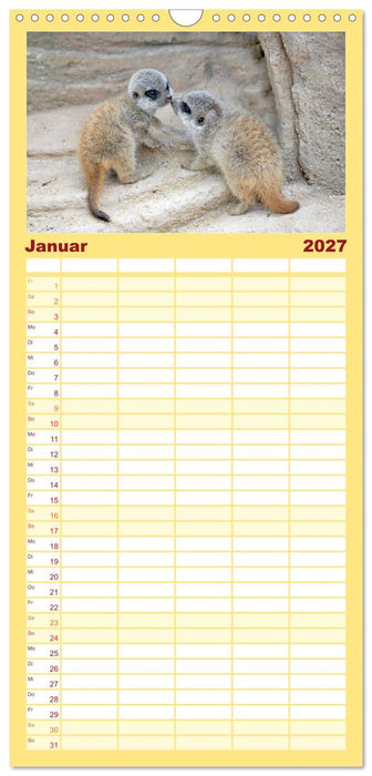 Lustige Erdmännchen (CALVENDO Familienplaner 2027)