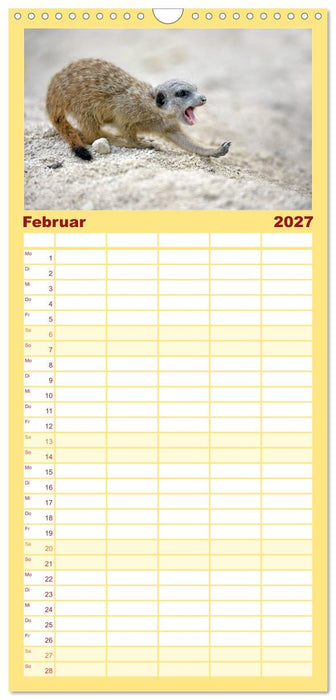 Lustige Erdmännchen (CALVENDO Familienplaner 2027)