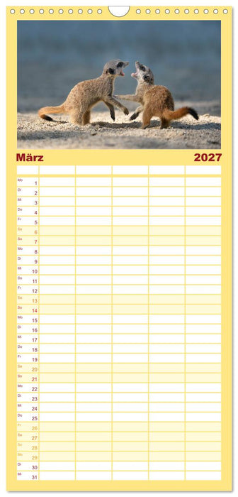 Lustige Erdmännchen (CALVENDO Familienplaner 2027)