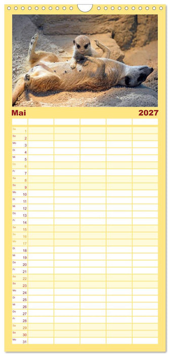 Lustige Erdmännchen (CALVENDO Familienplaner 2027)