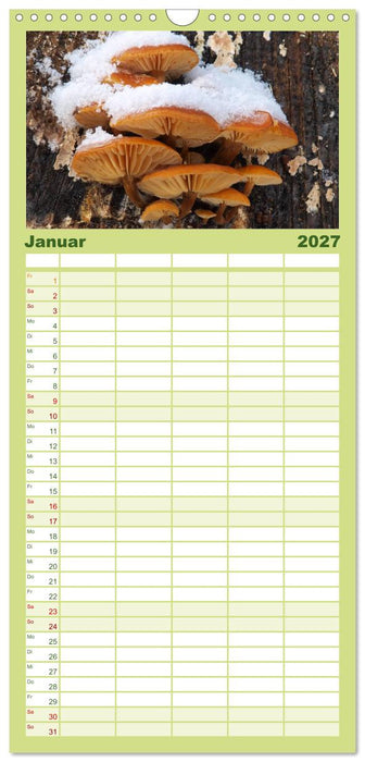 Pilzkalender (CALVENDO Familienplaner 2027)
